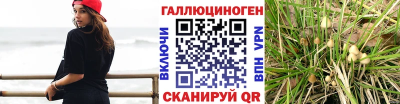 Псилоцибиновые грибы мухоморы  Чекалин 